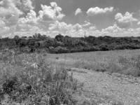 FAZENDA EM ELIAS FAUSTO/SP