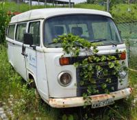VW KOMBI, PLACA Nº KWE 7198